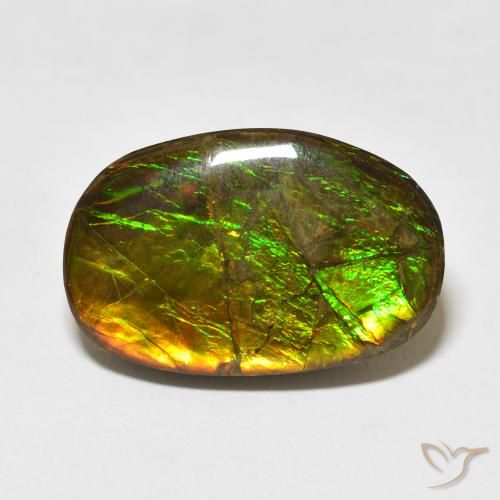 16.55ct طبيعي متعدد الألوان أموليت, فانسى, غير شفاف