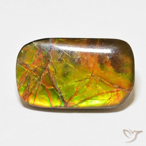 16.23ct طبيعي متعدد الألوان أموليت, وسادة, غير شفاف