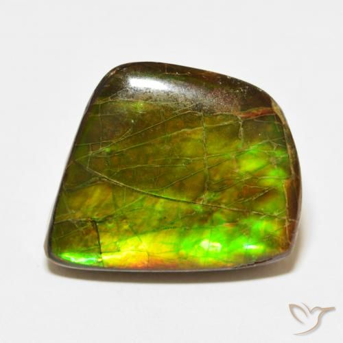 21.56ct طبيعي متعدد الألوان أموليت, فانسى, غير شفاف