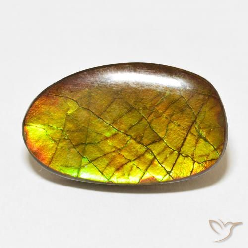 13.58ct طبيعي متعدد الألوان أموليت, فانسى, غير شفاف