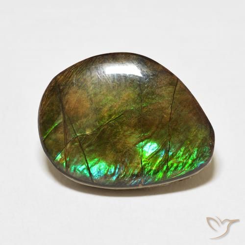11.66ct طبيعي متعدد الألوان أموليت, فانسى, غير شفاف