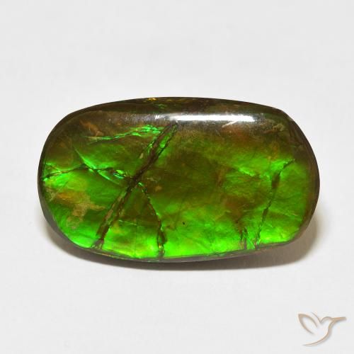 18.47ct طبيعي متعدد الألوان أموليت, فانسى, غير شفاف