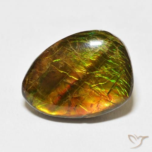 12.20ct طبيعي متعدد الألوان أموليت, فانسى, غير شفاف