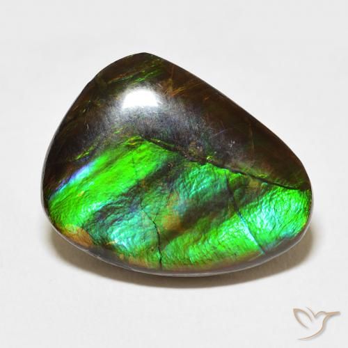 11.84ct طبيعي متعدد الألوان أموليت, فانسى, غير شفاف