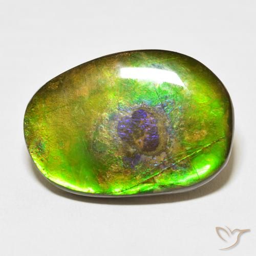 21.49ct طبيعي متعدد الألوان أموليت, فانسى, غير شفاف