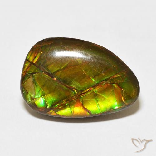 11.07ct طبيعي متعدد الألوان أموليت, فانسى, غير شفاف