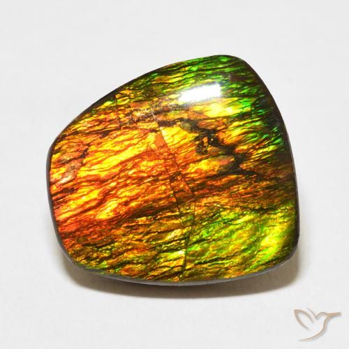 11.47ct طبيعي متعدد الألوان أموليت, فانسى, غير شفاف