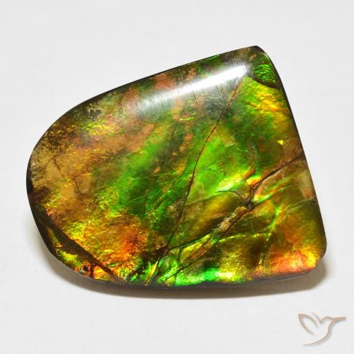 20.38ct طبيعي متعدد الألوان أموليت, فانسى, غير شفاف