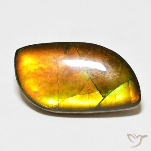 14.45ct طبيعي متعدد الألوان أموليت, فانسى, غير شفاف