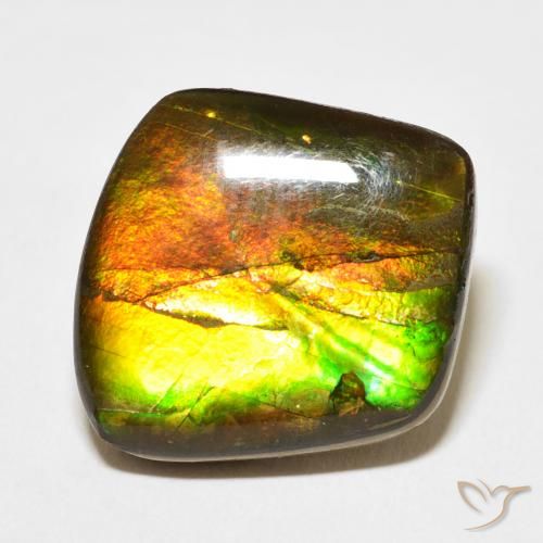 13.63ct طبيعي متعدد الألوان أموليت, فانسى, غير شفاف