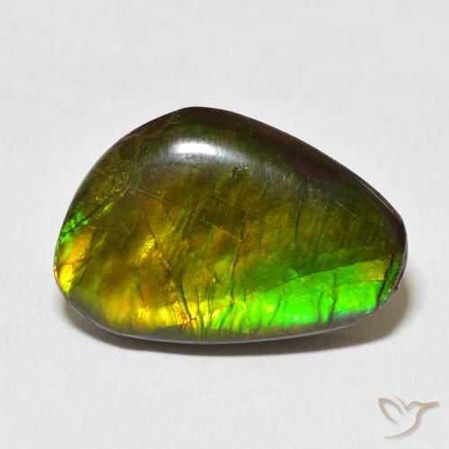 13.79ct طبيعي متعدد الألوان أموليت, فانسى, غير شفاف
