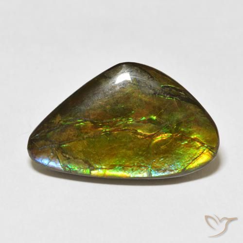 13.60ct طبيعي متعدد الألوان أموليت, فانسى, غير شفاف