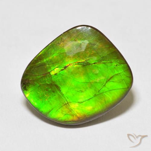 10.95ct طبيعي متعدد الألوان أموليت, فانسى, غير شفاف