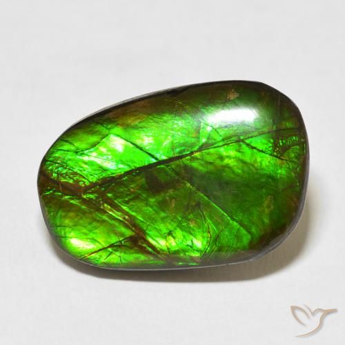 13.96ct طبيعي متعدد الألوان أموليت, فانسى, غير شفاف
