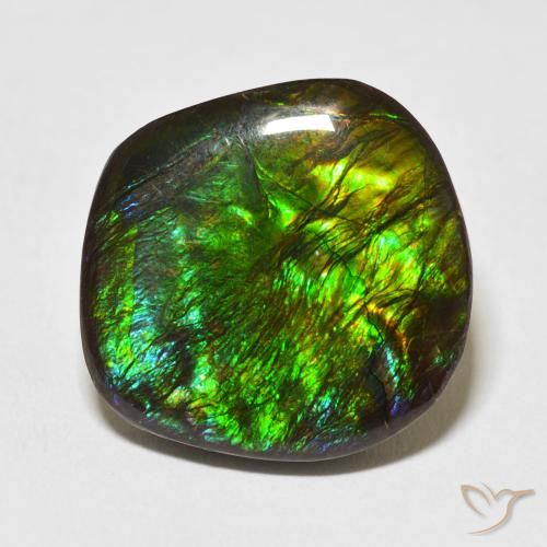 17.53ct طبيعي متعدد الألوان أموليت, فانسى, غير شفاف