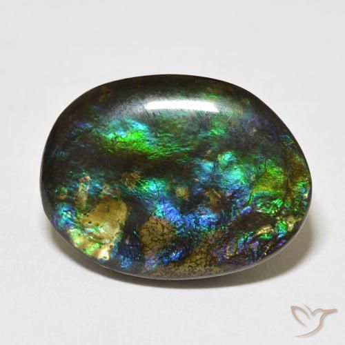 15.59ct طبيعي متعدد الألوان أموليت, فانسى, غير شفاف