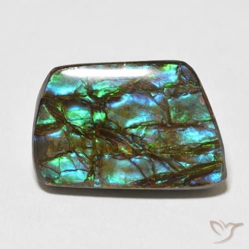 13.92ct طبيعي متعدد الألوان أموليت, فانسى, غير شفاف