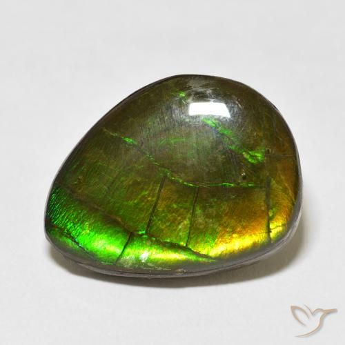 13.55ct طبيعي متعدد الألوان أموليت, فانسى, غير شفاف