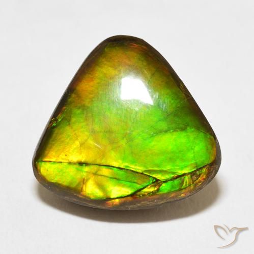 10.86ct طبيعي متعدد الألوان أموليت, مثلثى, غير شفاف