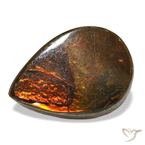 5.02ct متعدد الألوان أموليت, شكل الكمثرى, غير شفاف