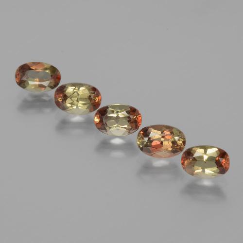 أحجار اندلوسيت متعدد الألوان طبيعية، قصة بيضاوى، قليلا جدا، وزنها 2.62 قيراط