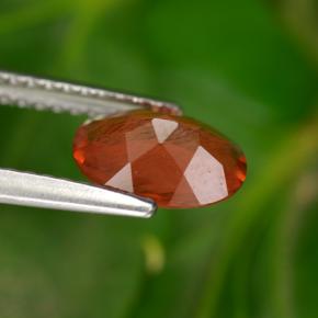 أنديسين لابرادوريت أحمر عسلي طبيعي، قصة بيضاوى، 0.85 قيراط، قليلا جدا