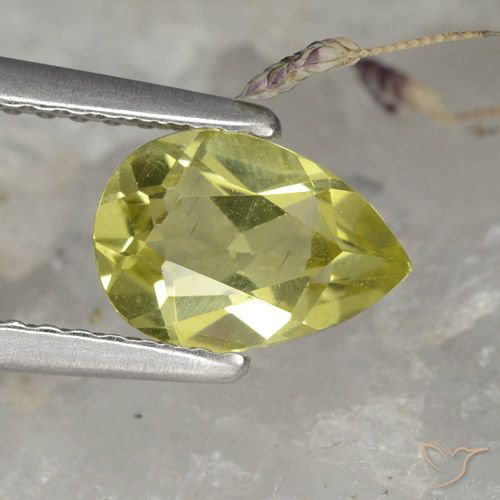 1.11ct طبيعي أخضر الغابة دافئ الأباتيت, شكل الكمثرى, قليلا جدا