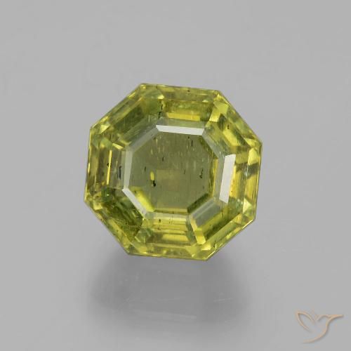 11.16ct طبيعي أخضر الغابة دافئ الأباتيت, قص الزمرد, VS-SI