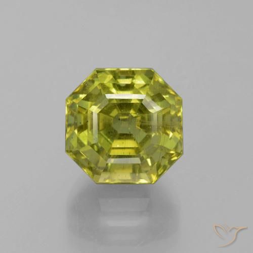 11.26ct طبيعي أخضر الغابة دافئ الأباتيت, قص الزمرد, VS-SI