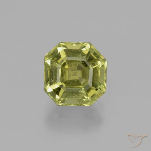 2.61ct طبيعي أخضر الغابة دافئ الأباتيت, قص الزمرد, قليلا جدا