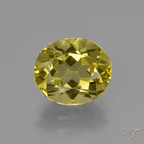 2.89ct طبيعي أصفر غامق الأباتيت, بيضوي, قليلا جدا