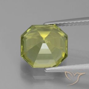 الأباتيت Medium Light Green طبيعي، ثمانى / قصة زمرد، 3.95 قيراط، VVS-VS