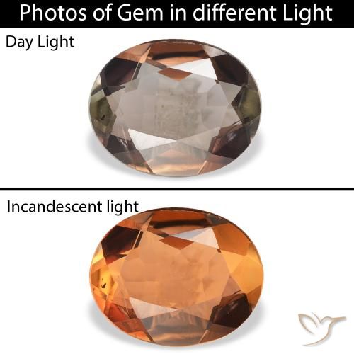 1.68ct طبيعي بني غامق الأكسينيت, بيضوي, SI