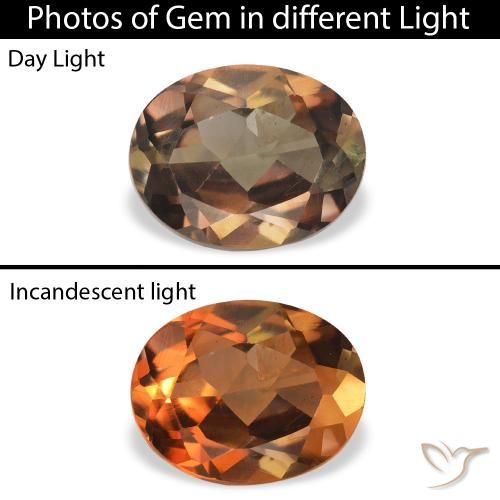1.26ct طبيعي بني غامق الأكسينيت, بيضوي, SI