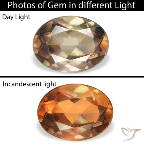 1.23ct طبيعي بني غامق اكسينيت, بيضوي, SI
