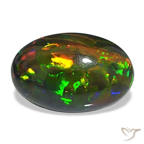 12.21ct متعدد الألوان أوبال أسود, بيضاوي, غير شفاف