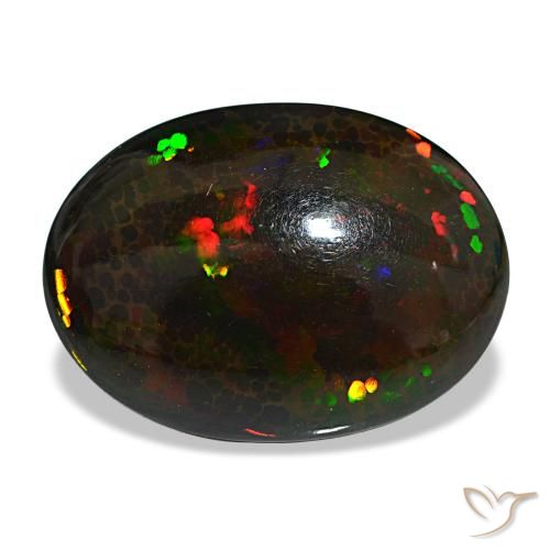 14.90ct متعدد الألوان أوبال أسود, بيضاوي, غير شفاف