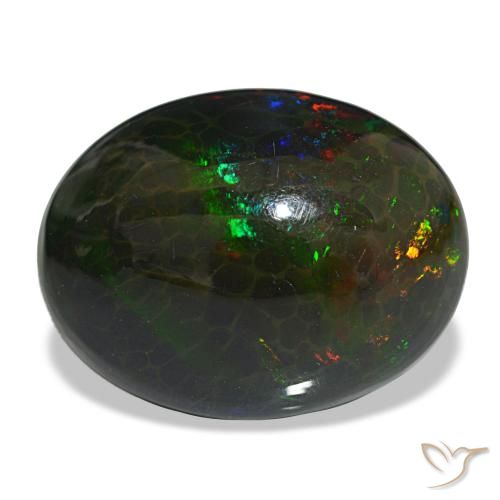16.29ct متعدد الألوان أوبال أسود, بيضاوي, غير شفاف