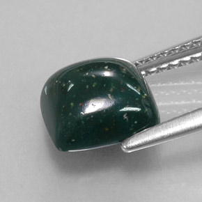 حجر الدم أخضر منقط طبيعي، قطع وسادة، 2.50 قيراط، غير شفاف