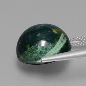 حجر الدم أخضر منقط طبيعي، قصة دائرى، 12.58 قيراط، غير شفاف