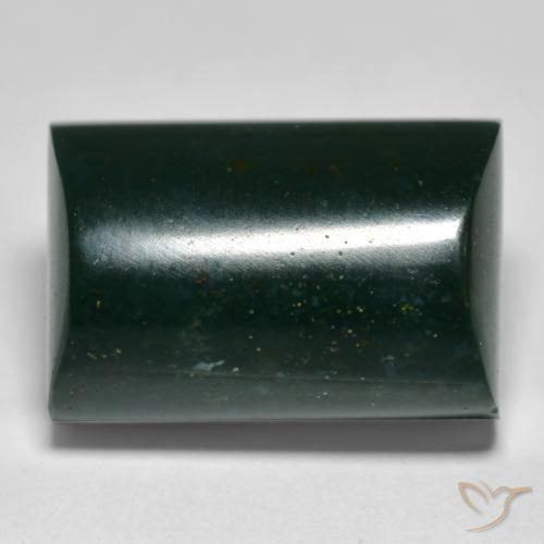 14.93ct طبيعي أخضر الغابات حجر الدم, باجيت, غير شفاف