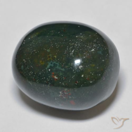 24.76ct طبيعي أخضر غامق حجر الدم, بيضوي, غير شفاف