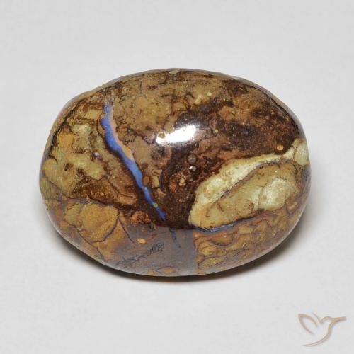 12.53ct طبيعي متعدد الألوان صخر الأوبال, بيضوي, غير شفاف