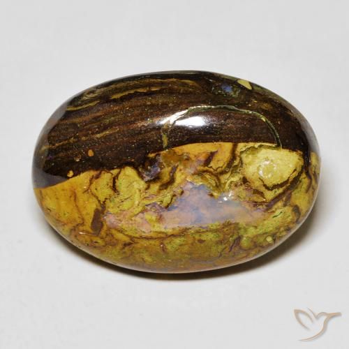 14.45ct طبيعي متعدد الألوان صخر الأوبال, بيضوي, غير شفاف