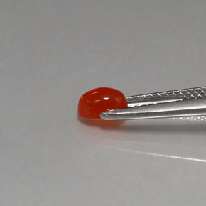 كارنيليان بىتقالى أحمر طبيعي، شفاف، 0.57 قيراط، شفاف / نصف شفاف