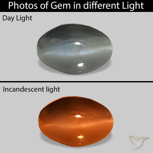 Cat's Eye Alexandrite رمادى متوسط طبيعي، بيضوي، 1.00 قيراط، غير شفاف