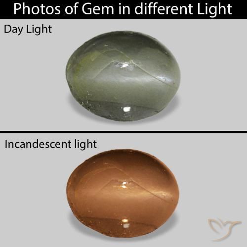 Cat's Eye Alexandrite أخضر متوسط طبيعي، بيضوي، 0.71 قيراط، غير شفاف