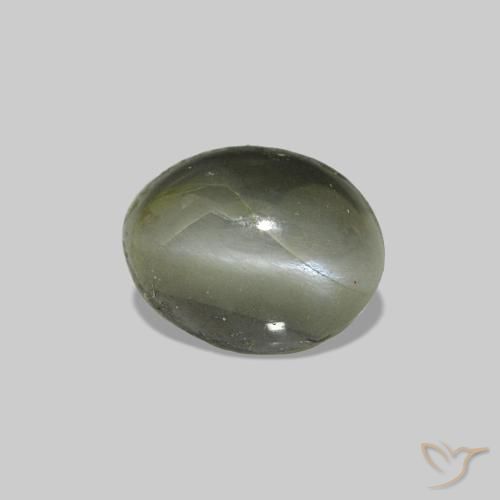 Cat's Eye Alexandrite أخضر متوسط طبيعي، بيضوي، 0.71 قيراط، غير شفاف
