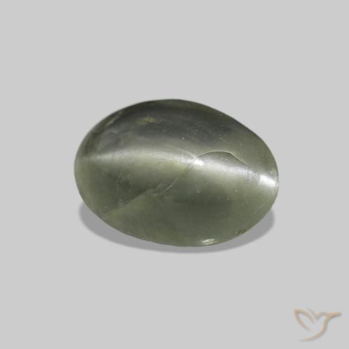 Cat's Eye Alexandrite أخضر طحلبى طبيعي، بيضوي، 0.69 قيراط، غير شفاف
