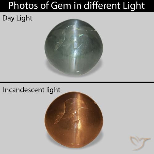 0.53ct أخضر دافئ Cat's Eye Alexandrite, دائري, غير شفاف